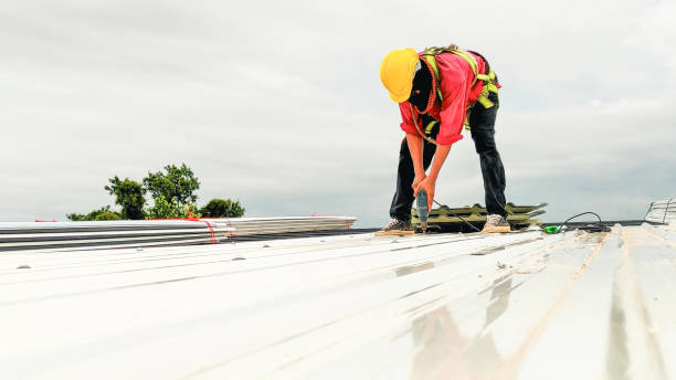 Best Rubber Roofing (EPDM, TPO)  in South Les, AK